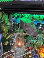 IMG_5392.jpeg