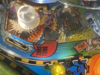 IMG_0958.jpeg