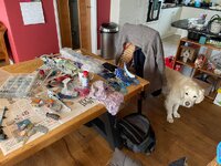 IMG_6609.jpg