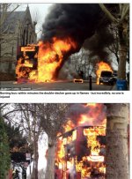 IMG_0011.jpeg
