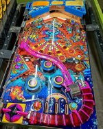 InShot_20240130_060443863.jpg