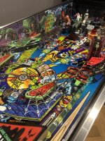 IMG_9355.jpeg