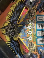 IMG_8513.jpeg