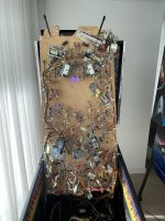 IMG_8516.jpeg