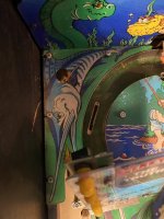 IMG_4369.JPEG