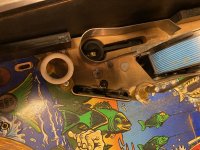 IMG_4373.JPEG