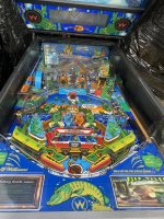 IMG_6146.JPEG