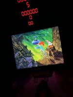 IMG_4352.jpeg