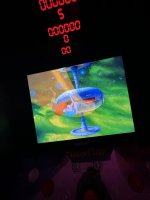 IMG_4353.jpeg