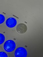 IMG_6523.jpeg