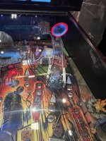 IMG_8977.jpeg