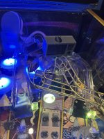 IMG_8988.jpeg
