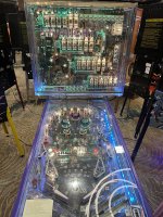 IMG_9009.jpeg
