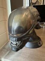 IMG_7804.jpeg