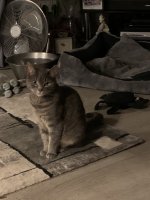 IMG_3892.jpeg