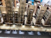 IMG_0702.jpeg
