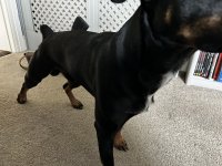 IMG_1401.jpeg