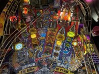 IMG_1887 Medium.jpeg