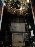 IMG_1894 Medium.jpeg