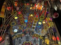 IMG_1889 Medium.jpeg
