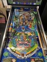 IMG_4591.jpeg IMG_4591.jpeg