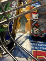 IMG_4595.jpeg IMG_4595.jpeg