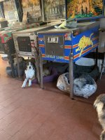 IMG_3160.jpeg