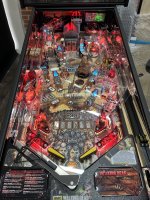 IMG_5953.jpeg