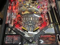 IMG_5954.jpeg