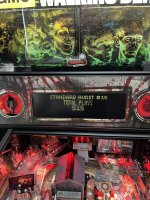 IMG_5959.jpeg