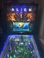 IMG_2298.jpeg