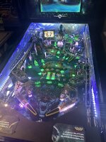 IMG_2299.jpeg