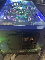 IMG_2300.jpeg