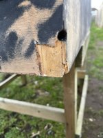IMG_7310.jpeg
