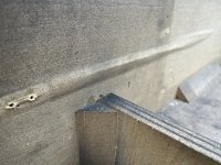 IMG_7316.jpeg