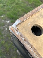 IMG_7350.jpeg