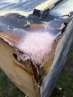 IMG_7355.jpeg