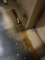 IMG_7457.jpeg