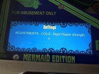CF1BCF1E-8EBB-4D82-B528-CF2B7DE2B806.jpeg