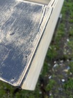 IMG_7339.jpeg