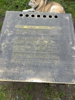 IMG_7739.jpeg
