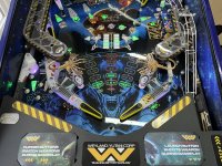 IMG_6086.jpeg