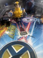 IMG_0923.jpeg