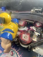 IMG_0924.jpeg