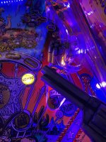 IMG_0125.jpeg