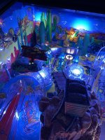 IMG_0130.jpeg