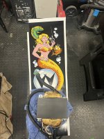 IMG_9288.jpeg
