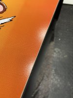 IMG_9384.jpeg