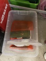 IMG_9472.jpeg