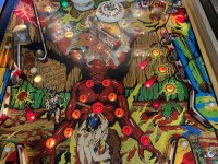 IMG_9466.jpeg